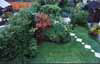 Secret Garden grows