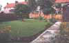 what a lot of grass